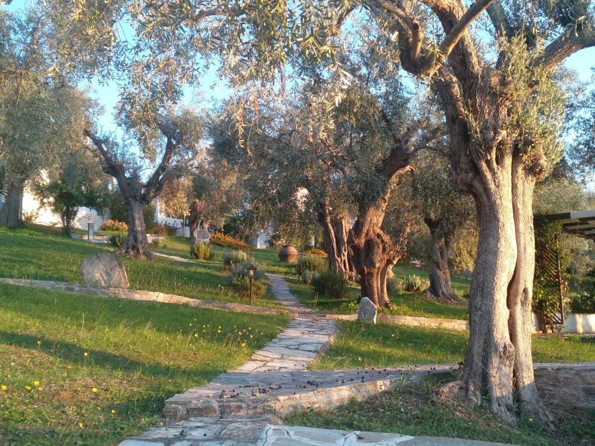 Villa Saint Andrews Bay Milína Esterno foto